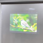 Dark Grey Self Adhesive Rear Projection Foil , Front Projection Film for Trade Shows