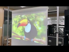 pellicola di proiezione bifacciale bianca