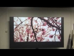 Schermo di proiezione a reiezione della luce ambientale per home cinema 4K