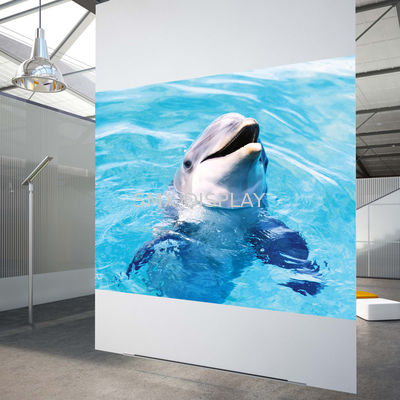 Film di proiezione posteriore bianco ad alto contrasto Film di proiezione olografica 3D per vetrine