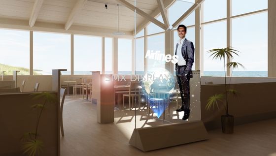 Qualità Film olografico autoadesivo della proiezione posteriore di 170° 100um Fabbrica