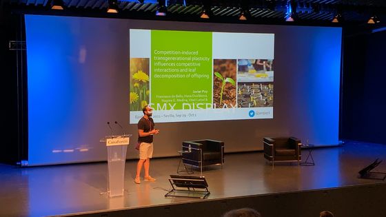 Qualità grande schermo di proiezione motorizzato 350inch con il telecomando di rf Fabbrica